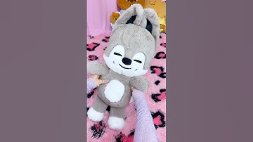 my SKZOO Wolf Chan Teddybear ver plushie! 💕 Bang Chan bias wrecked me at the #StrayKids concert! 🤭