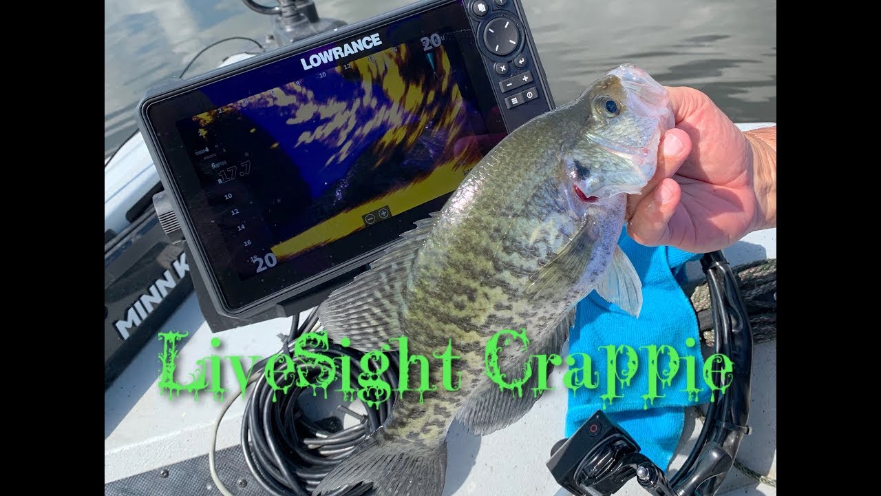 Crappie Fishing with Lowrance LiveSight YouTube