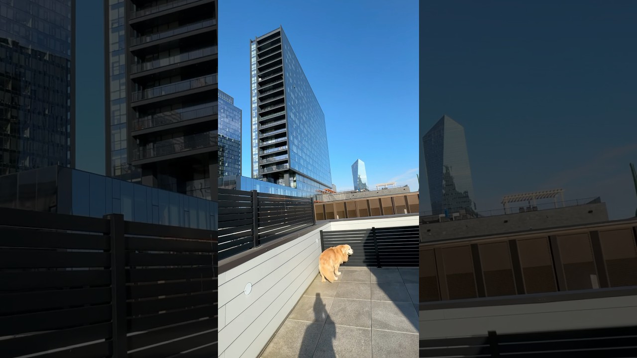 No Matter what ♥️