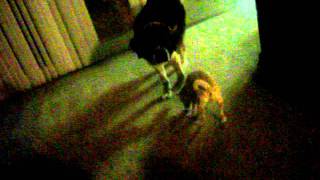 DSCF1595.AVI