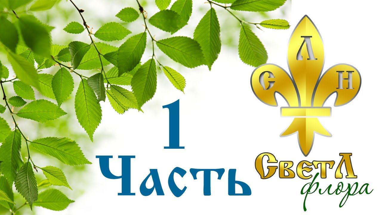 Генератор "СветЛ-Флора". Часть 1.