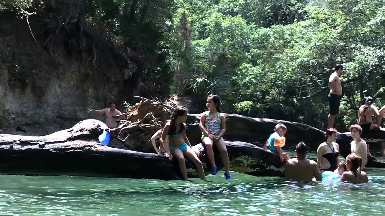 Natural Florida - Blue Springs State Park