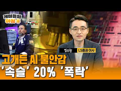 고개든 AI 불안감…나스닥 2.6% 급락｜반도체주 레버리지 '속슬' 20% '폭락'…뉴욕증시 전문가분석(염승환 LS증권 이사)/ 연합뉴스TV(YonhapnewsTV)