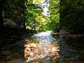 Нежная Успокаивающая Мелодия Горной Лесной Реки и Птиц 🌿 #nature #soothing #piano #pianomusic #relax