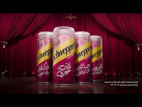 حكاية خبرة ما بتنتهيش | شويبس رمان و فيلم الست
