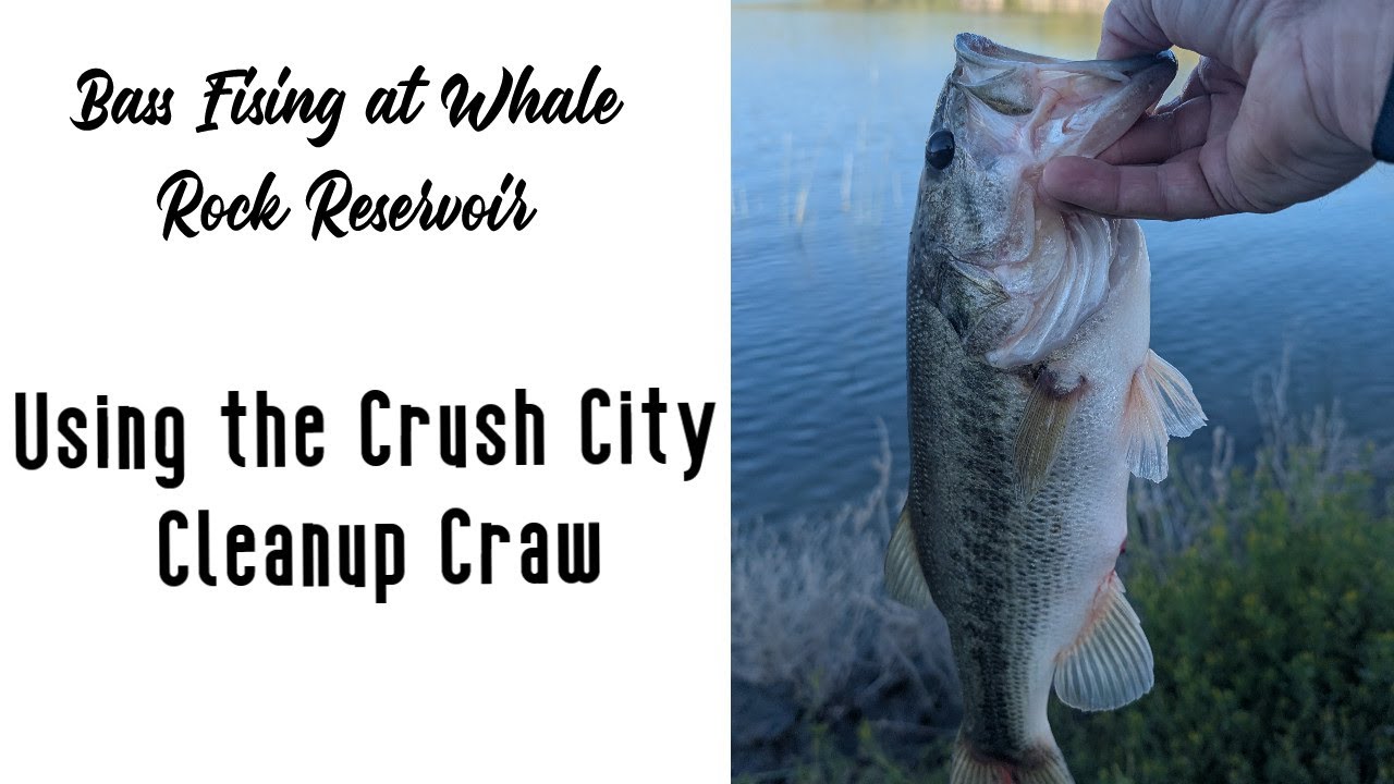 Bass Fishing Whale Rock Reservoir Crush City Craw