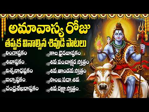 అమావాస్య రోజున తప్పక వినాల్సిన శివుని భక్తి పాటలు 🙏| Shiva Devotional Songs | Amavasya Special Songs