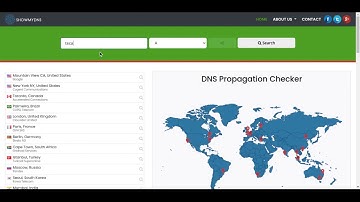 ShowMyDNS - DNS Checker & DNS Propagation Checker Tool Online