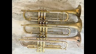 Dark Horns: Mt. Vernon, Thane, P Mauriat, Edwards Gen II