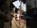 khashi meet mutan #funny #shorts