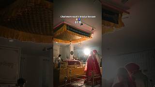 new punjabi whatsapp status in Rajasthan chamkila new status #dance #3dbrazilsong #discodancer