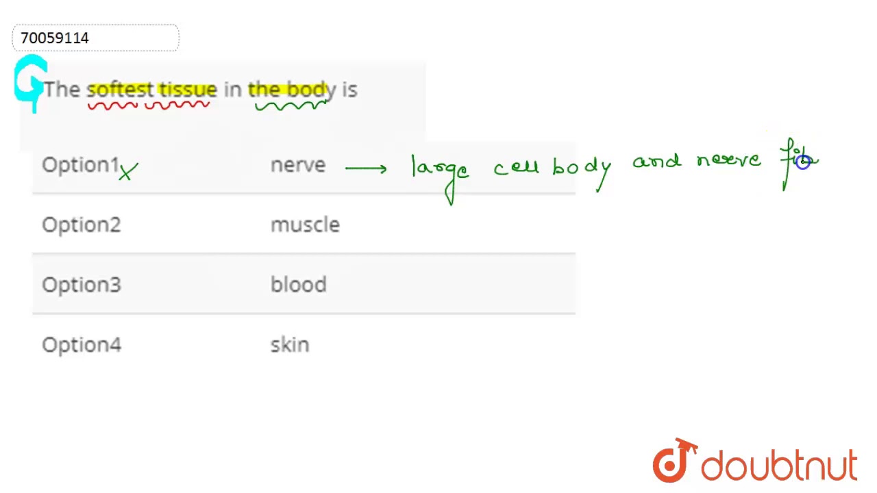 Which Is The Softest Tissue In Human Body?