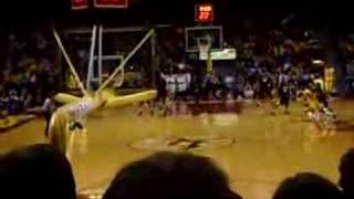 Blake Hoffarber for 3 against Iowa