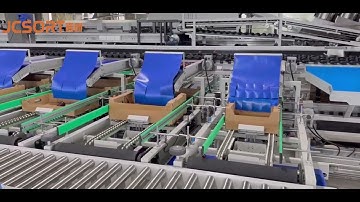 JC SORT Optical Sorting & Packing Line for Plums, plums sorting line