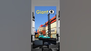 Giant Container Handling at Port ‼️ #viralvideo #port #tranding #viralshorts #youtubeshorts #tiktok