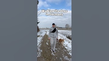 GPS (German positioning system) 🇩🇪🛜