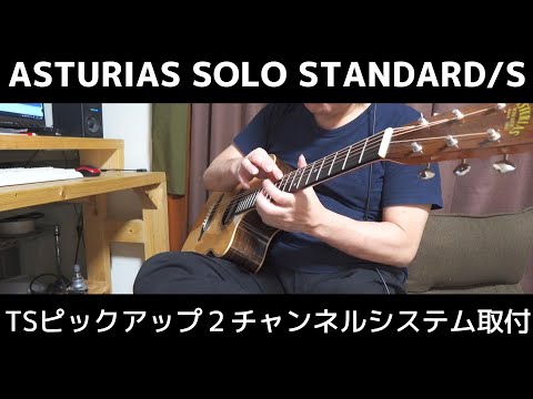 【TSピックアップ】ASTURIAS SOLO STANDARD/Sに２チャンネルシステムの取付