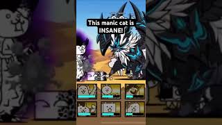 This new manic dragon cat is INSANE!!
