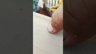 Wtf Are These Bugs? Chiggers? I Set My Phone Down, And They Came Out Of The Woodwork, Covering It.