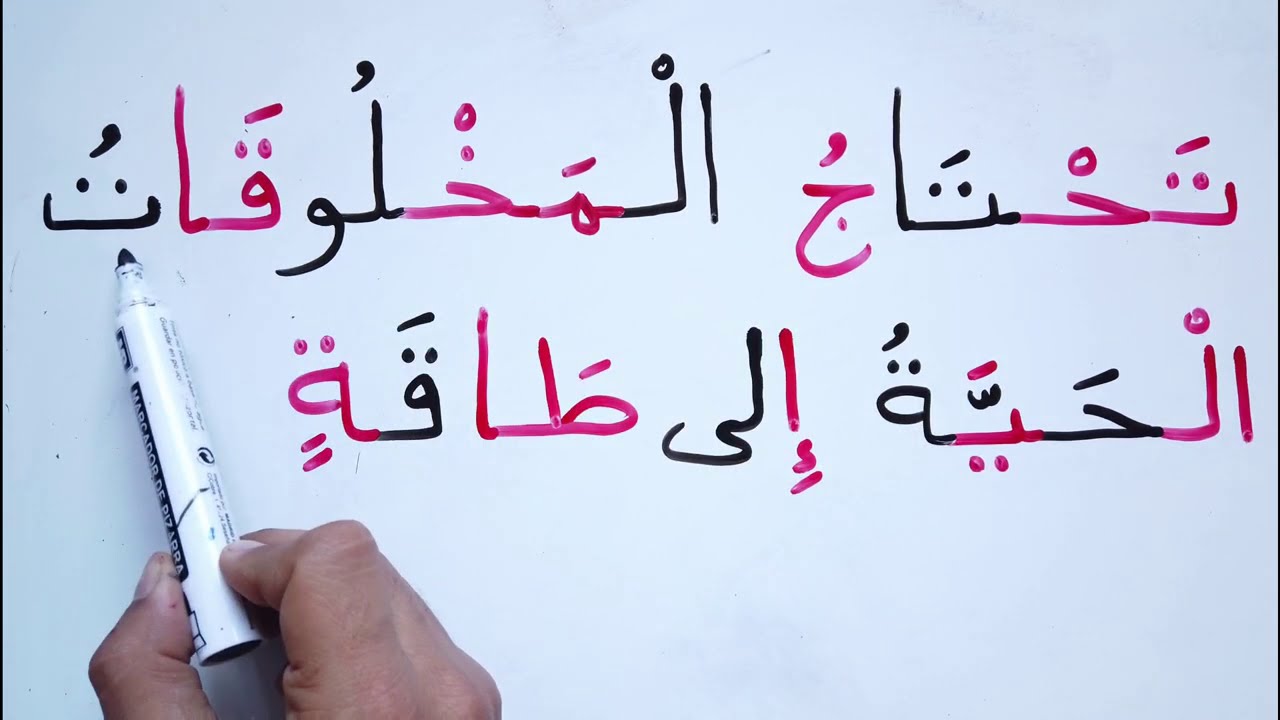 Learn read write Arabic phrases تعليم القراءة و الكتابة تحليل الكلمات لمقاطع و حروف السكون الشدة