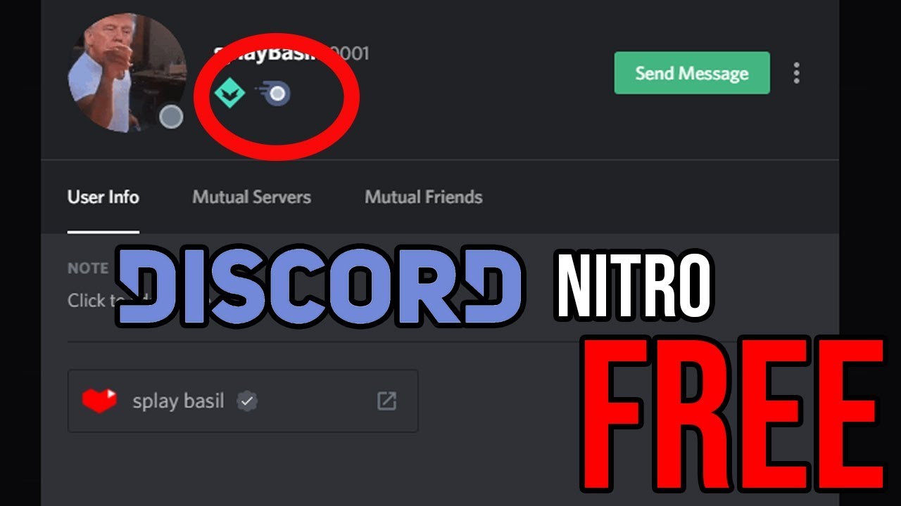 Discord Profile Stealer