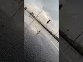 مطر الشتاء غيوم غيمة 
