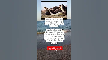 نسر كبير يطير في السماء وعلى ظهره افعى النسر يقول لو حاولت أن أرميها ستلدغني الافعى تقول لو لدغته 