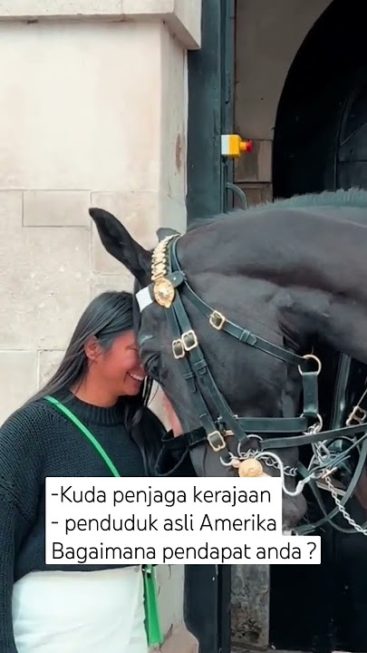 suku Indian,kuda kerajaan,penduduk asli Amerika
