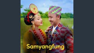 Download Lagu Samyangfung