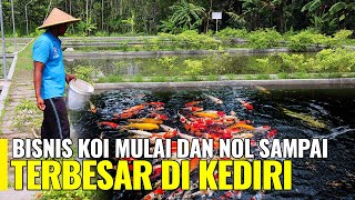 AGUNG, PEMBUDIDAYA IKAN KOI YANG SUKSES MULAI DARI NOL!