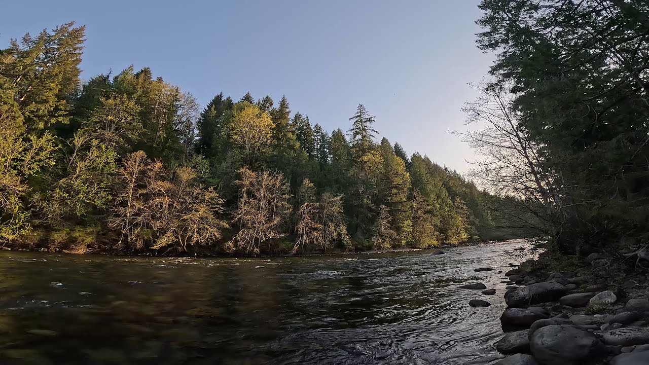 A-Frame Beach, Nanaimo River Trail - Full Hike