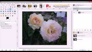Как сделать картину маслом из фотографии в GIMP. Как сделать картину маслом из фотографии в GIMP.