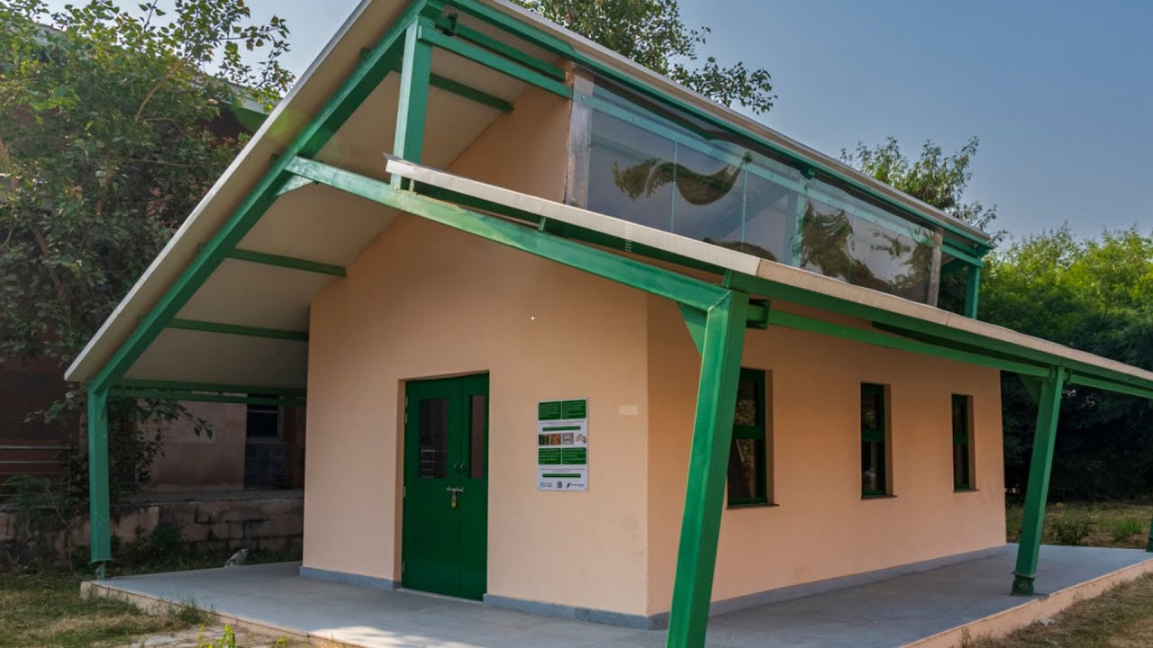 ESCUELA ECOLÓGICA CON SUGARCRETE