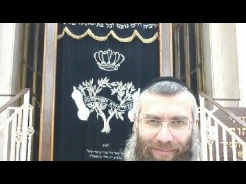 თორის თავი მიშპატიმ- კანონები