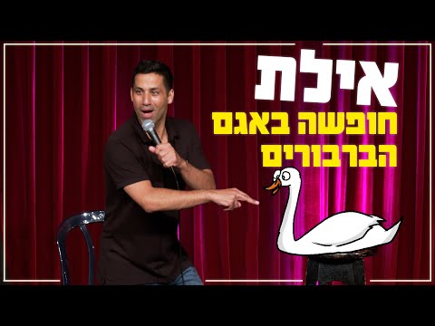 שחר חסון אילת חופשה באגם הברבורים 