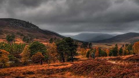 سورة الأنسان تلاوة جميلة ماشاء الله