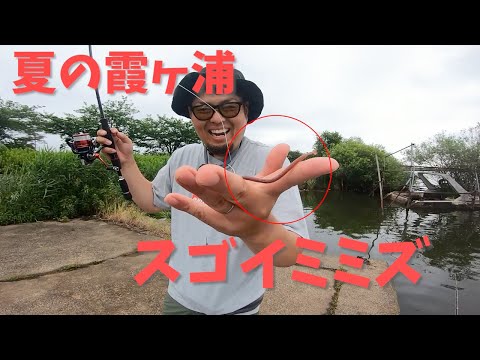 Amazing Earthworms in Lake Kasumigaura in Summer 2025 - YouTube