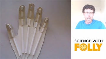 Model Hand - Learning about Joints and the Muscular-Skeletal System