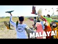 MY FIRST FLOCK FREE FLIGHT WITH HIGH END PARROTS! (TEAM MALAYA BULACAN)