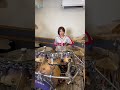 たぶん皆聴いたことある音をドラムで奏でてみた #サザエさん