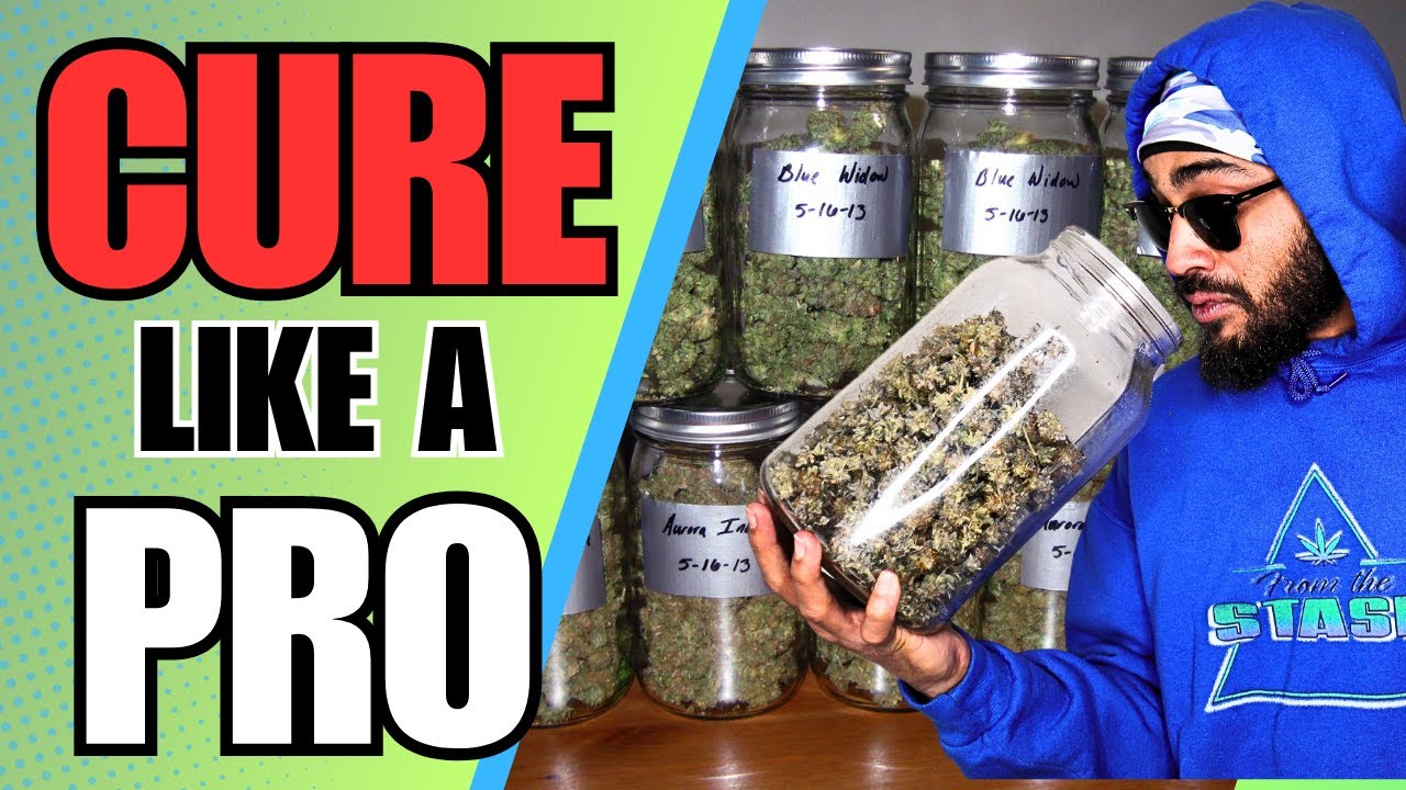 Do THIS to Get the MOST Terps from Your Next Harvest!