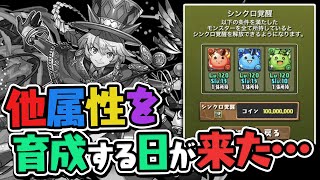 最新アプデのシンクロ覚醒登場でまさかの事態に！？【パズドラ】