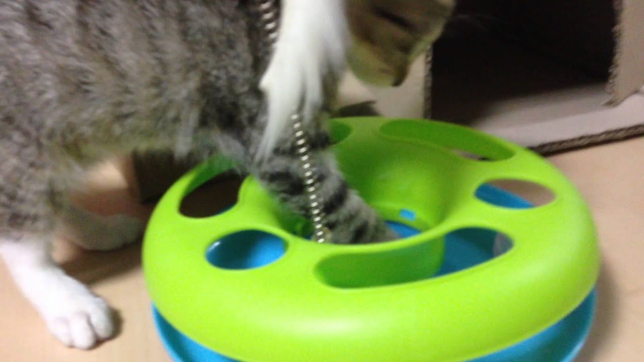 지금 30분째 이러고 계심 ^_ㅜ