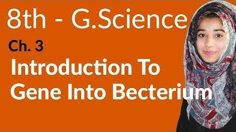8th Class General Science - Ch 3 - Introduction to Gene into Bacterium - General Science 8th Class