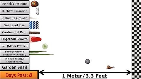 Speed Comparison 3: Slower than Snail