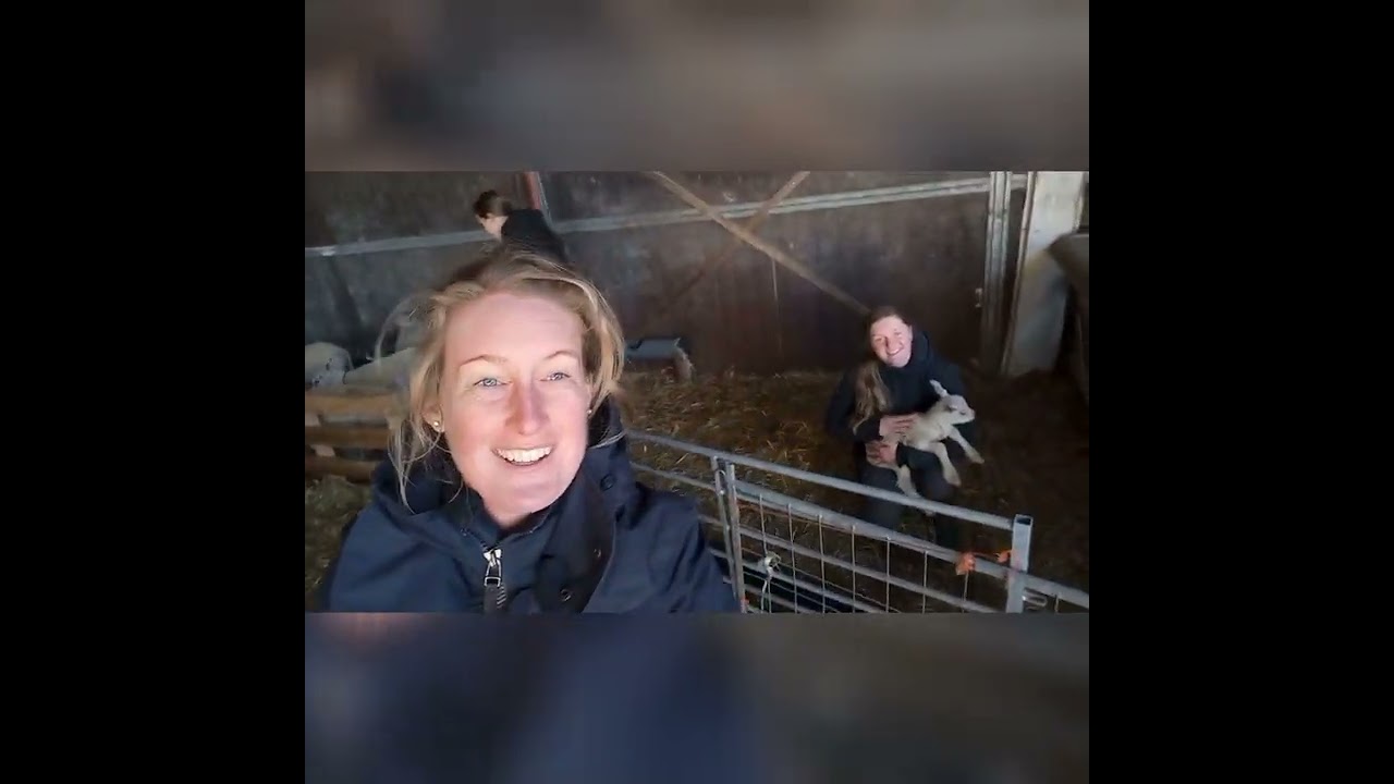 Een mooie collage van 💖 bonny 🐴