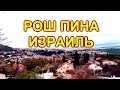 355.Рош Пина -жемчужина Галилеи.Ресторанчик.Израиль