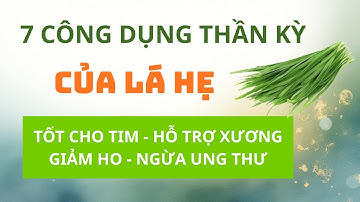 7 Công Dụng Thần Kỳ Của Lá Hẹ: Tốt Cho Tim, Hỗ Trợ Xương, Giảm Ho và Ngừa Ung Thư!