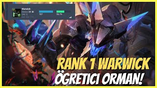 TR Warwick 1.si Detaylı Öğretici Rehberi @neonprice4176