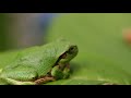 あなたの背中に